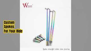 맞춤형 오토바이 스포크 및 니플